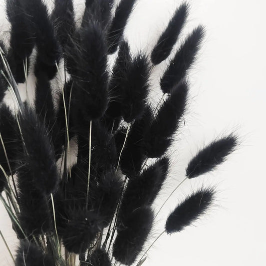 Bunny Tails Dried Flowers 100pcs Dried Pampass Grass Decor Bunny Tail Floral Stems 17 Inch Dried Flowers for Boho Decor Home Wedding Decoration Plants (Black)